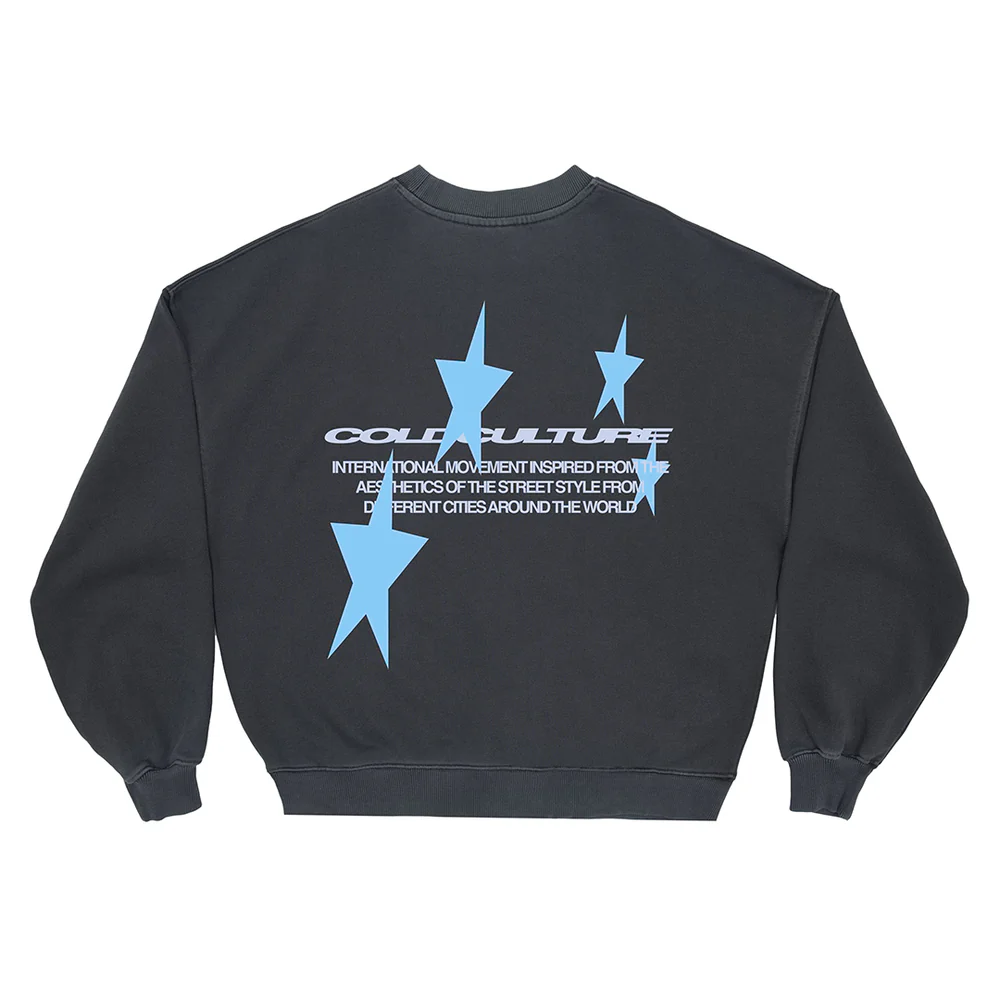 Cosmos-Arc-Crewneck-India-Ink2.webp